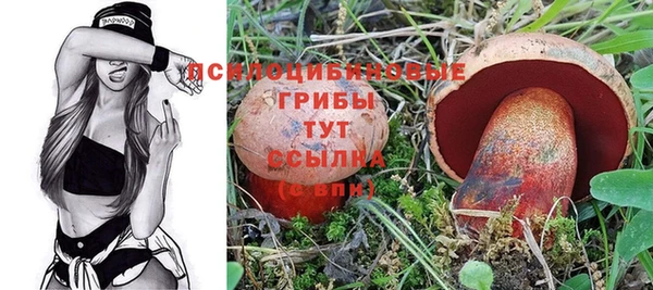 шишки Балабаново