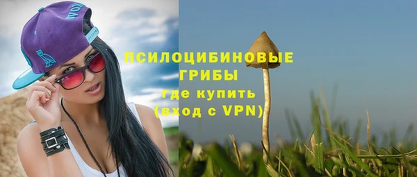 шишки Лиски