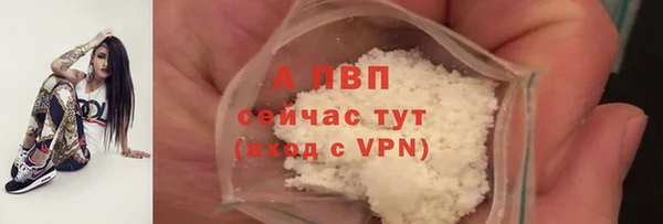 шишки Балабаново