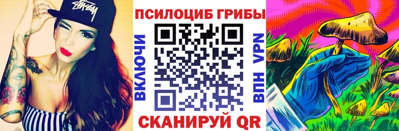Псилоцибиновые грибы Cubensis  что такое   Беслан 