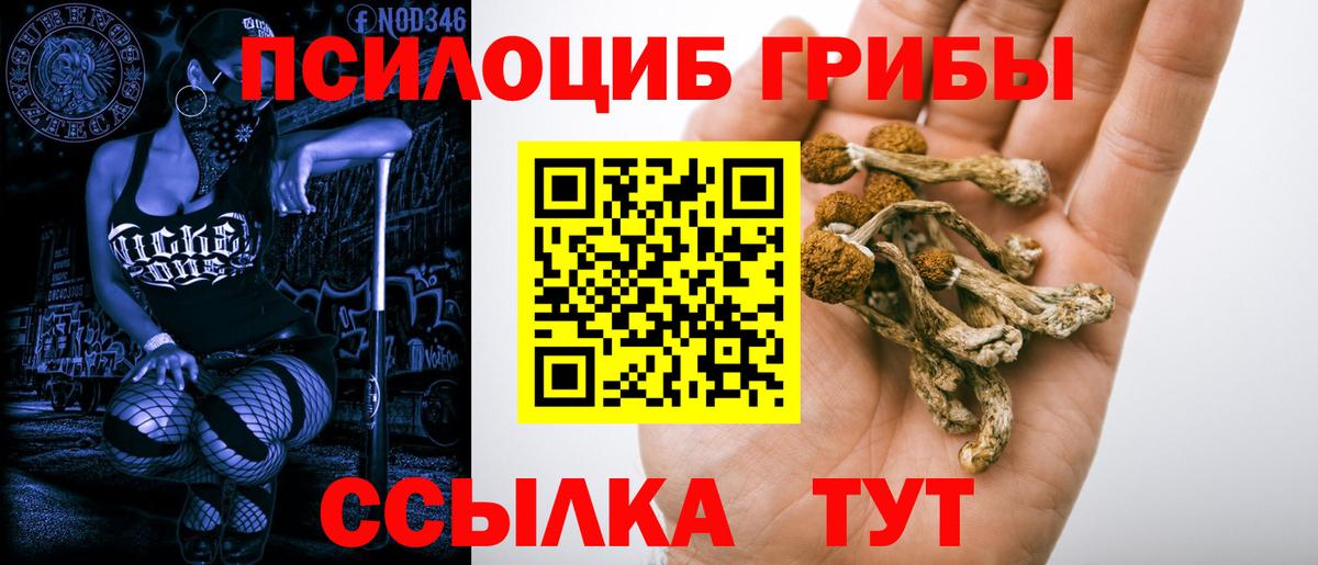 Галлюциногенные грибы прущие грибы Беслан