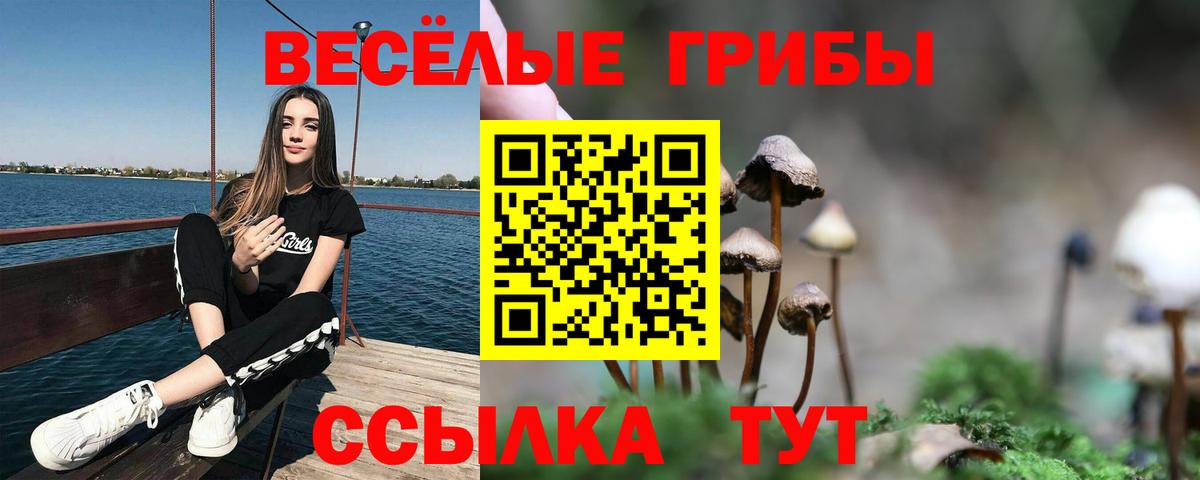 цены   Беслан  Псилоцибиновые грибы мицелий  Псилоцибиновые грибы мицелий 