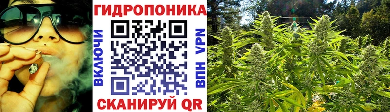 где найти   Беслан  Канабис White Widow 